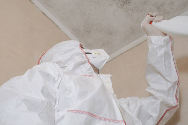 Best Mold Remediation for Specific Building Types in Tipton, IA